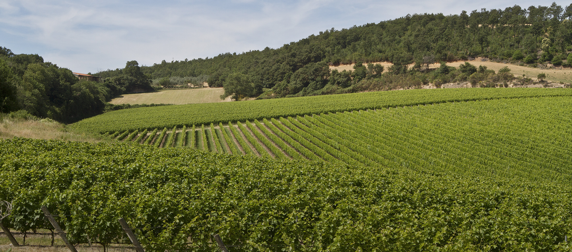 Fattoria Aldobrandesca