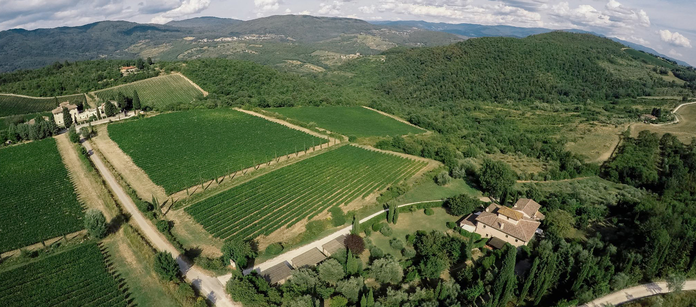 Tenuta Monteloro