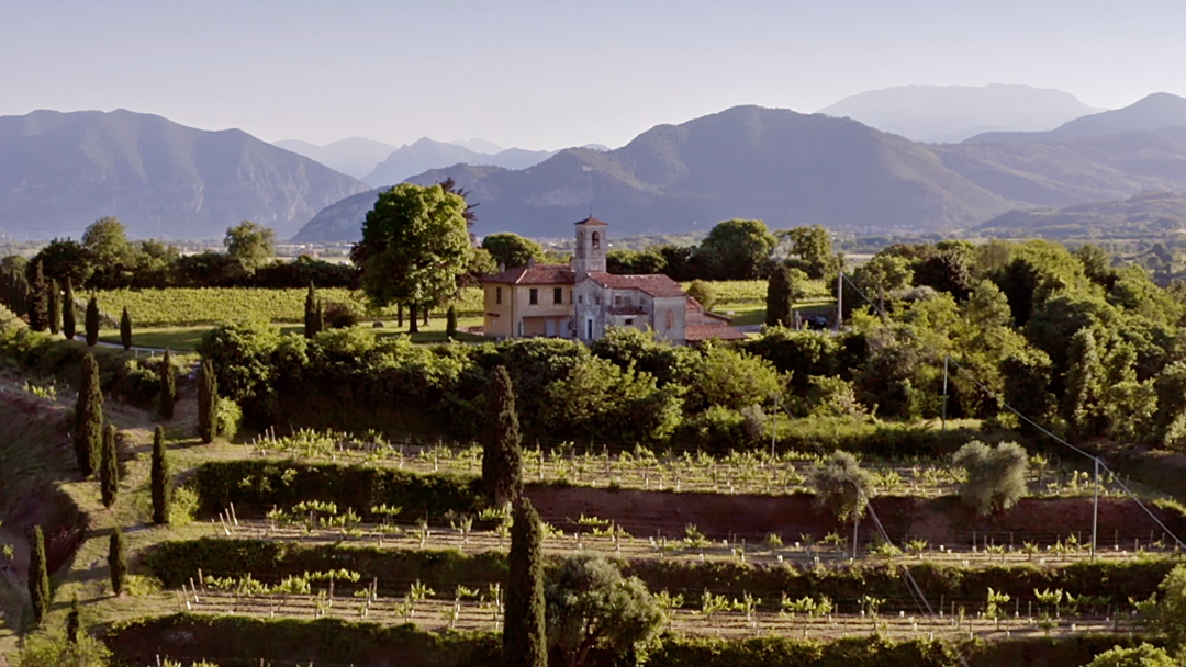 Tenuta Montenisa