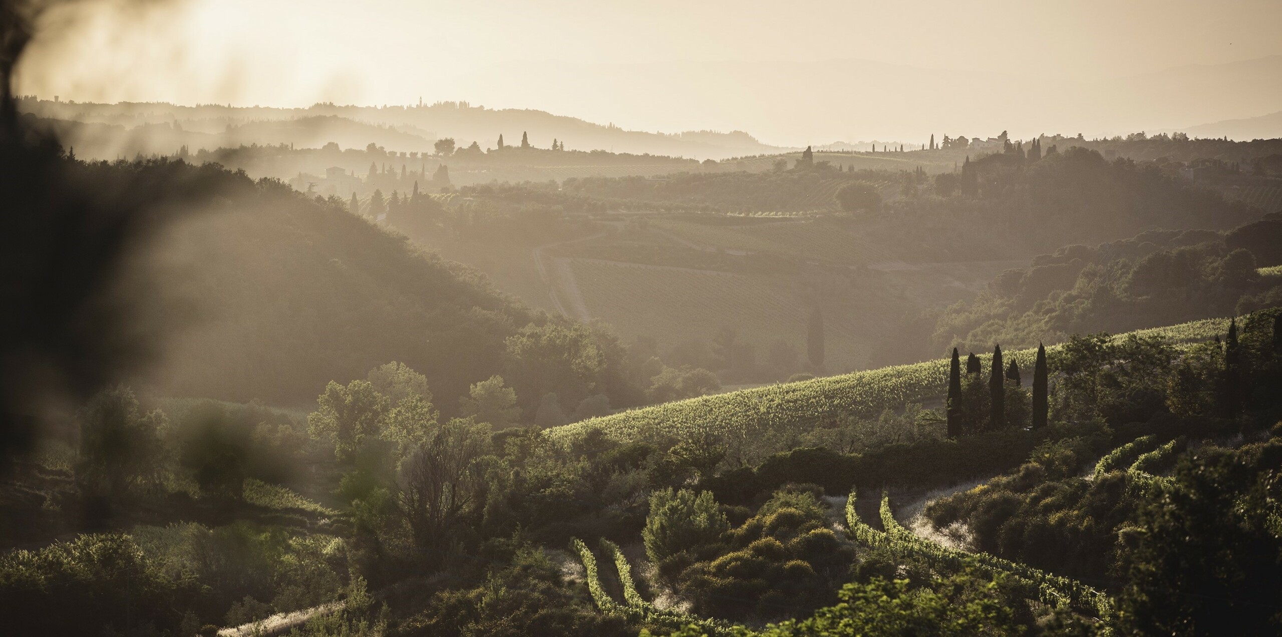 La Toscana dei Rossi