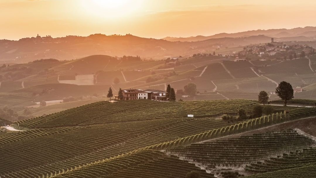 Barolo e Barbaresco