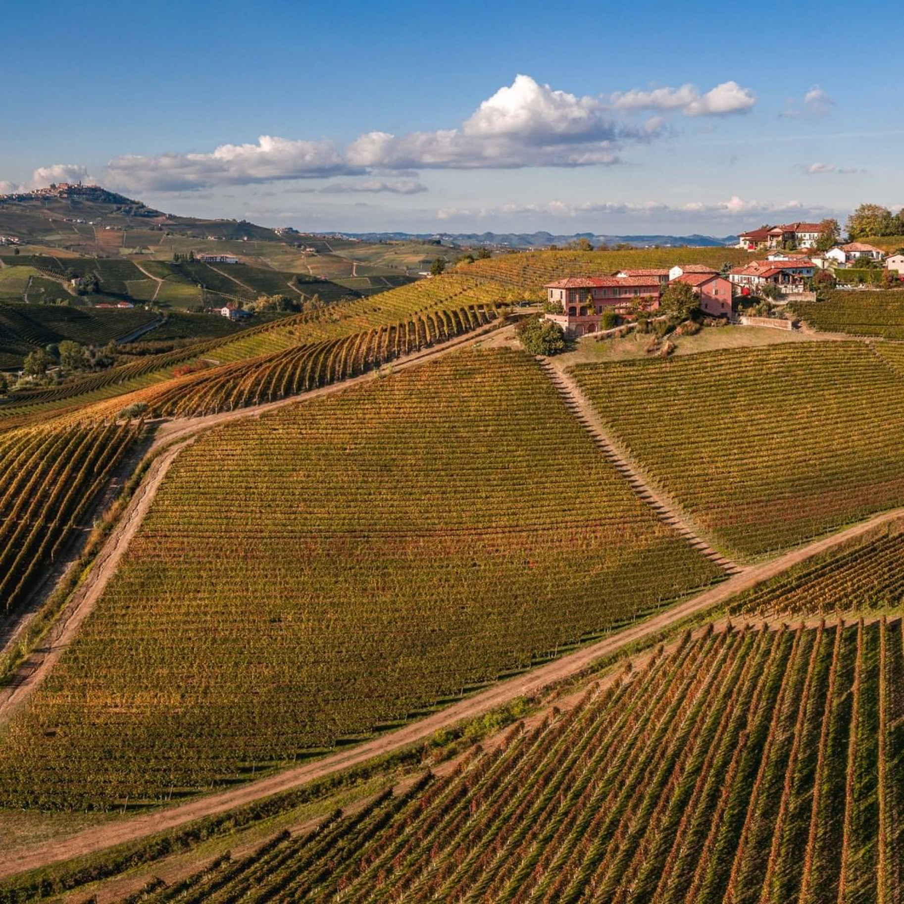 Prunotto, nel cuore delle Langhe