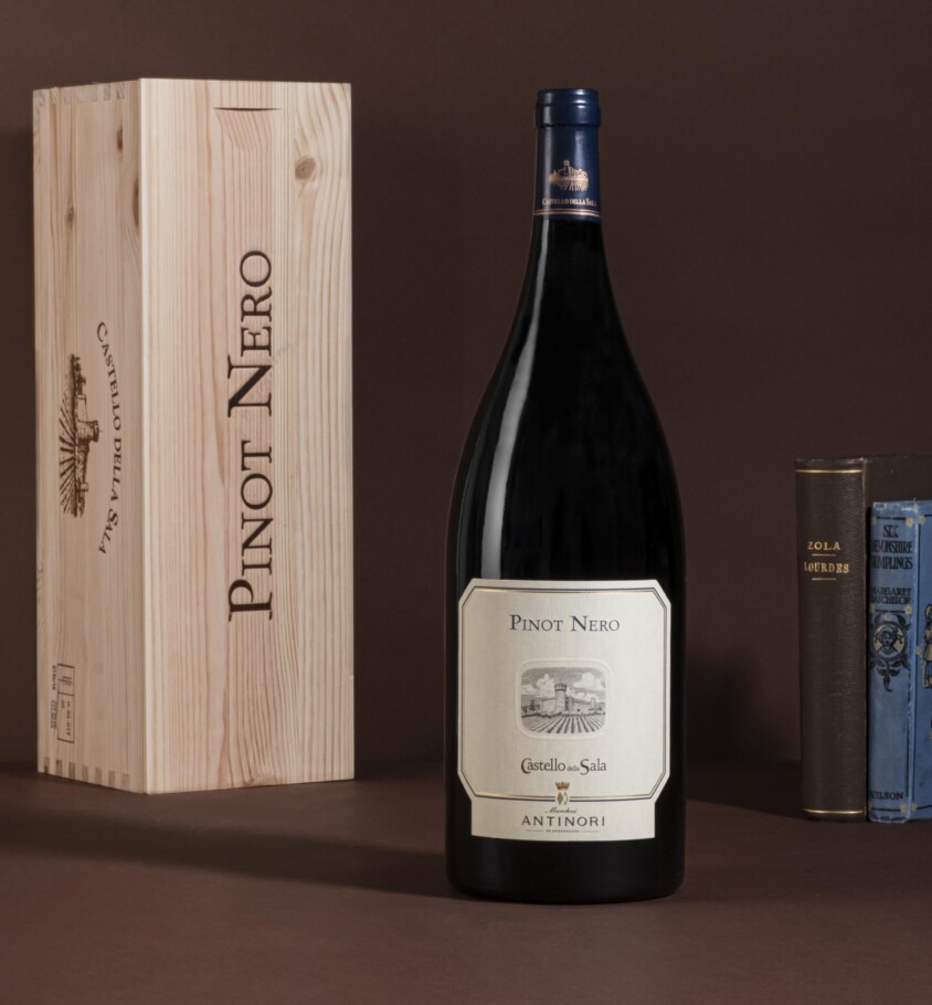 PINOT NERO DELLA SALA 2022 MAGNUM