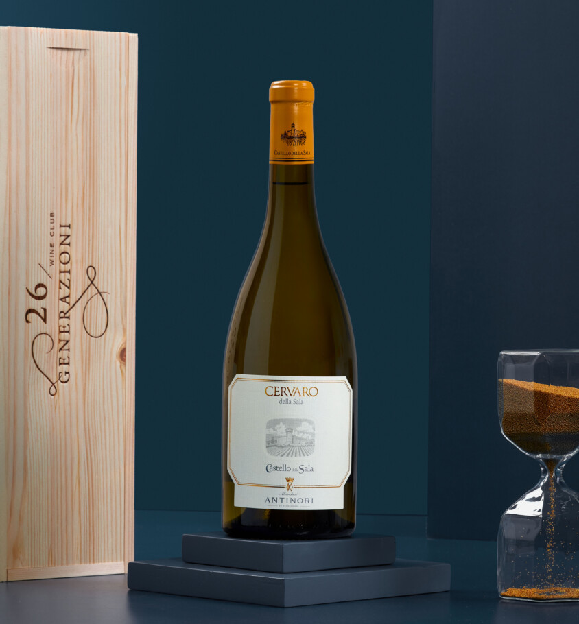 CERVARO DELLA SALA 2024