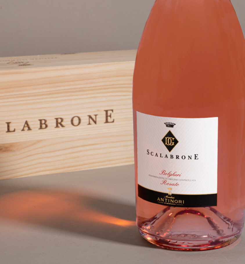 SCALABRONE 2025 MAGNUM