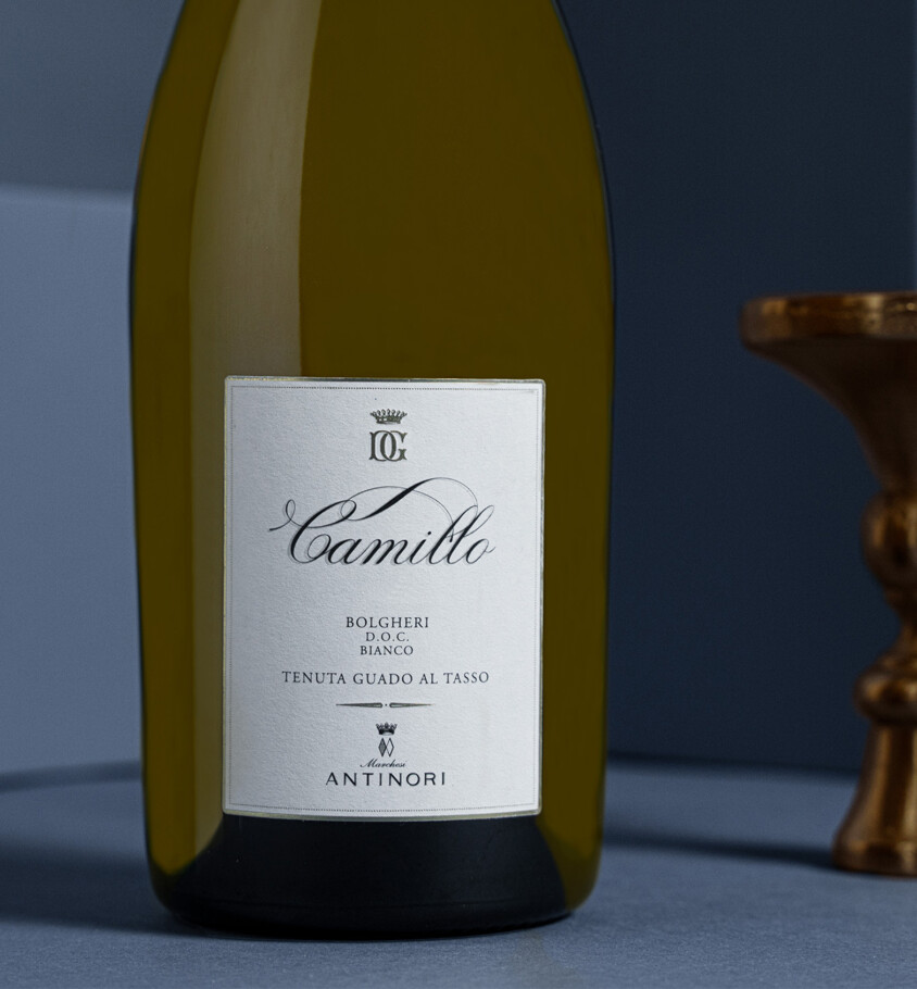 CAMILLO 2024